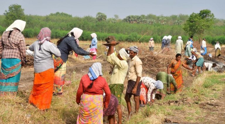 ’’100 நாள் வேலை திட்டத்தில் பிரச்னையா..?’’ மாவட்ட வாரியாக அதிகாரிகள் செல் போன் எண் அறிவிப்பு