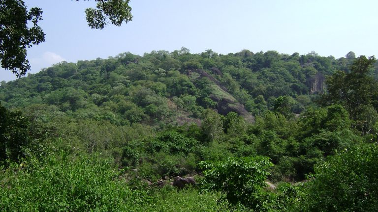 ’’24 புதிய காப்புக் காடுகள்..!’’ தமிழ்நாடு அரசு அறிவிக்கை