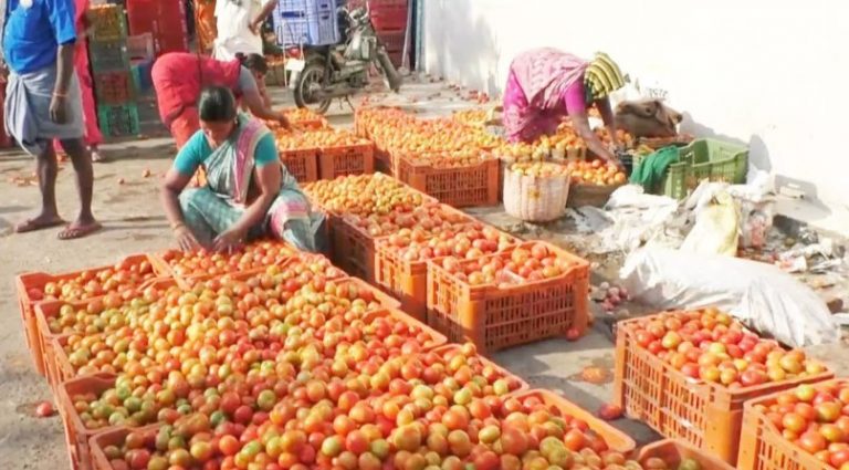 ’’வரத்து அதிகரித்துள்ளதால் தக்காளியின் விலை குறையும்..!’’ இணையமைச்சர் அஸ்வினி குமார் சவுபே